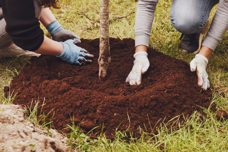 Plant Tree Service