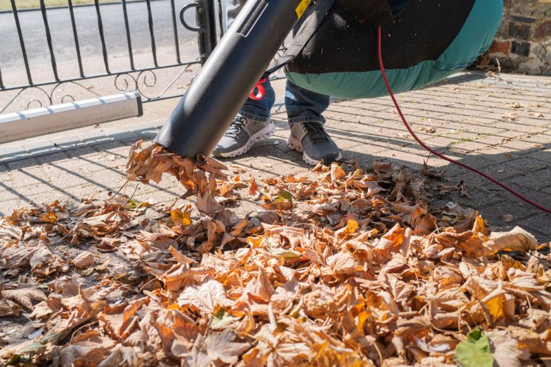 Efficient Leaf Clearing
