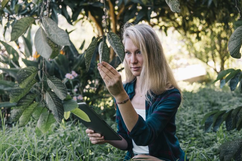 Reducing Pest Habitats