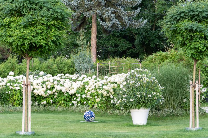 Lush Landscape Scene