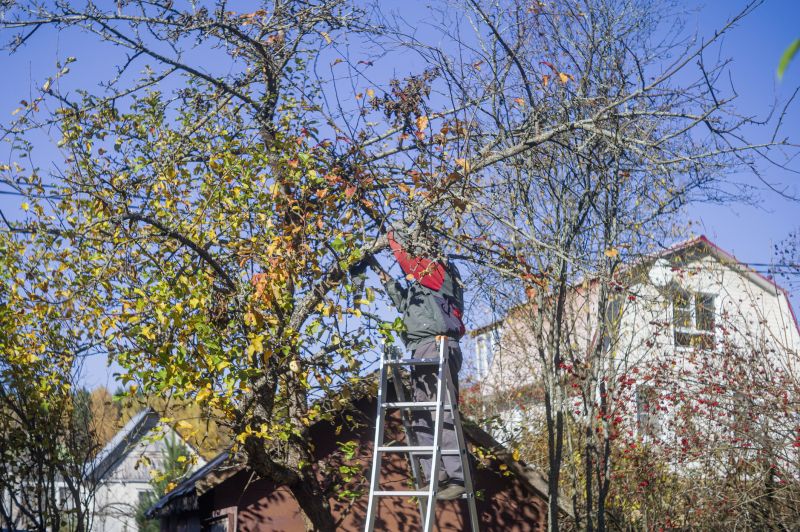 Plant Tree Service