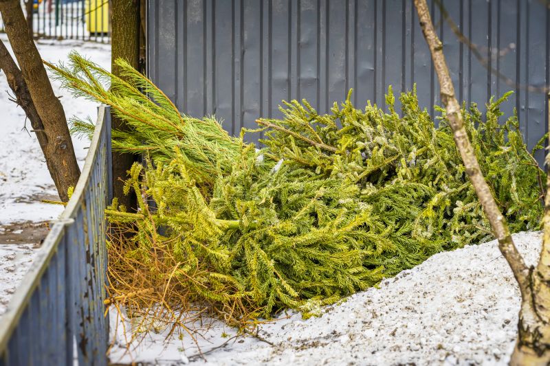 Winter Tree Services