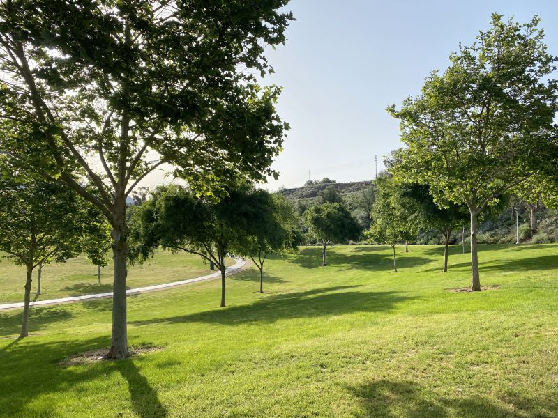 Municipal Tree Departments